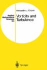 Image for Vorticity and Turbulence