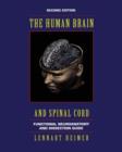 Image for The Human Brain and Spinal Cord : Functional Neuroanatomy and Dissection Guide