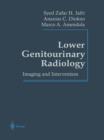 Image for Lower Genitourinary Radiology