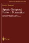 Image for Spatio-Temporal Pattern Formation