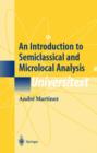 Image for An Introduction to Semiclassical and Microlocal Analysis