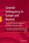 Image for Juvenile delinquency in Europe and beyond  : results of the second international self-report delinquency study
