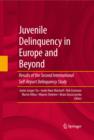 Image for Juvenile delinquency in Europe and beyond: results of the second international self-report delinquency study