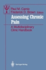 Image for Assessing Chronic Pain : A Multidisciplinary Clinic Handbook