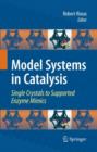 Image for Model systems in catalysis  : single crystals to supported enzyme mimics