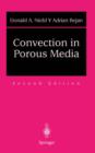 Image for Convection in Porous Media