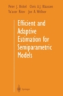 Image for Efficient and Adaptive Estimation for Semiparametric Models