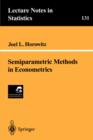 Image for Semiparametric Methods in Econometrics