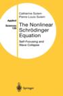 Image for The Nonlinear Schrodinger Equation