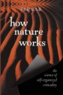Image for How Nature Works : The Science of Self-Organized Criticality