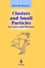Image for Clusters and Small Particles