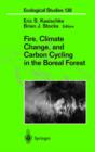 Image for Fire, Climate Change, and Carbon Cycling in the Boreal Forest