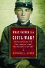Image for What caused the Civil War?  : reflections on the South and Southern history