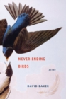 Image for Never-Ending Birds : Poems