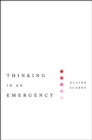 Image for Thinking in an Emergency