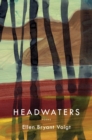 Image for Headwaters: Poems