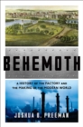 Image for Behemoth: a history of the factory and the making of the modern world