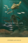 Image for Wonderful Life : The Burgess Shale and the Nature of History