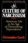 Image for The culture of narcissism  : American life in an age of diminishing expectations