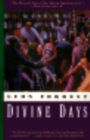 Image for Divine Days - A Novel (Paper)
