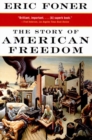 Image for The Story of American Freedom