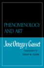 Image for Phenomenology and Art