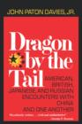 Image for Dragon by the Tail