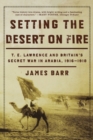 Image for Setting the desert on fire  : T.E. Lawrence and Britain&#39;s secret war in Arabia, 1916-1918