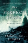 Image for The Perfect Storm : A True Story of Men Against the Sea