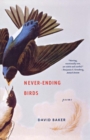 Image for Never-ending birds  : poems