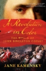 Image for A revolution in color  : the world of John Singleton Copley