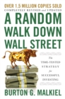 Image for A random walk down Wall Street: the time-tested strategy for successful investing