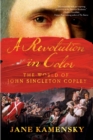 Image for A Revolution in Color: The World of John Singleton Copley