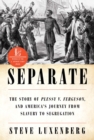 Image for Separate: The Story of Plessy V. Ferguson, and America&#39;s Journey from Slavery to Segregation
