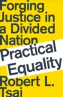 Image for Practical equality: forging justice in a divided nation