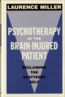 Image for Psychotherapy of the Brain-Injured Patient