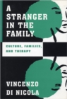 Image for A Stranger in the Family : Culture, Families, and Therapy