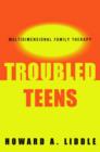 Image for Troubled Teens