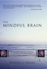 Image for The mindful brain  : reflection and attunement in the cultivation of well-being
