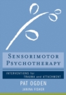 Image for The body as resource  : a therapist&#39;s manual to sensorimotor psychotherapy