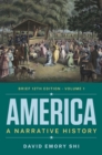Image for America: A Narrative History