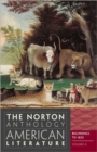 Image for The Norton anthology of American literatureVolume A
