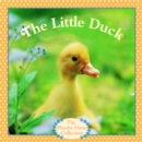 Image for The Little Duck