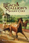 Image for The Black Stallion&#39;s Sulky Colt