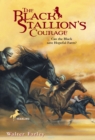 Image for The Black Stallion&#39;s Courage