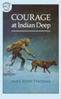 Image for Courage at Indian Deep