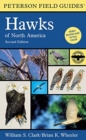 Image for A Peterson Field Guide To Hawks Of North America