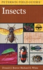 Image for Field Guide to Insects