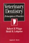 Image for Veterinary Dentistry