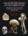 Image for The incredible bones of the Narrenturm: a photographic comparative atlas of the pathological and anatomical collection of the Fool&#39;s Tower